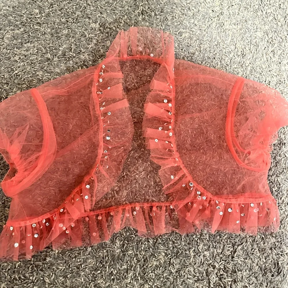 Quinceañera Dress - Picture 5 of 6